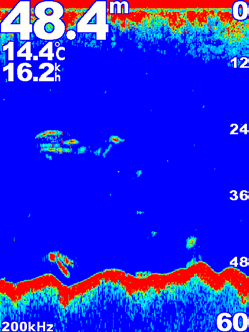 Utilizar a sonda Utilizar a sonda Quando ligados a um transdutor, os seguintes plotters cartográficos podem ser utilizados como localizadores de pescado: GPSMAP 421s GPSMAP 451s GPSMAP 521s GPSMAP