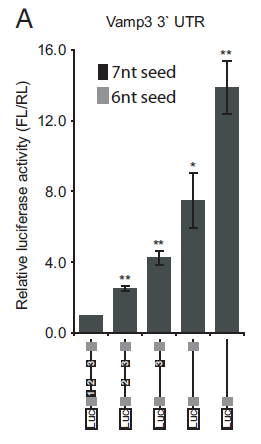 Método mais usado para identificar alvos de mirnas:. Vetores contendo gene repórter (Ex. Luciferase). O 3 UTR do suposto mrna alvo é clonado na frente do gene repórter.