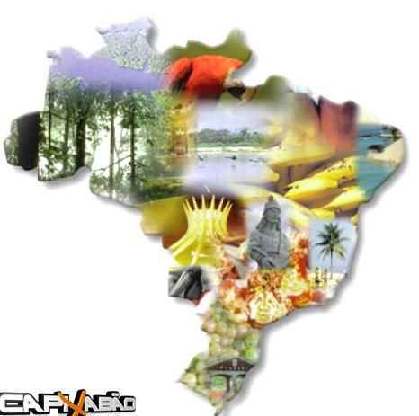 1. O Brasil 5º maior país do mundo Área: 8.500.