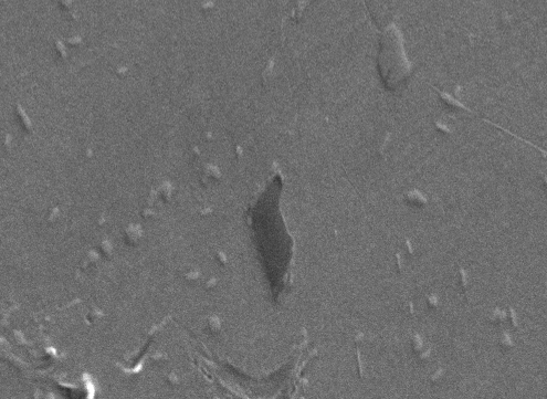 168 Titânio 10 µm Figura IV. 15 Precipitado de titânio apresentando forma irregular e coloração escura.