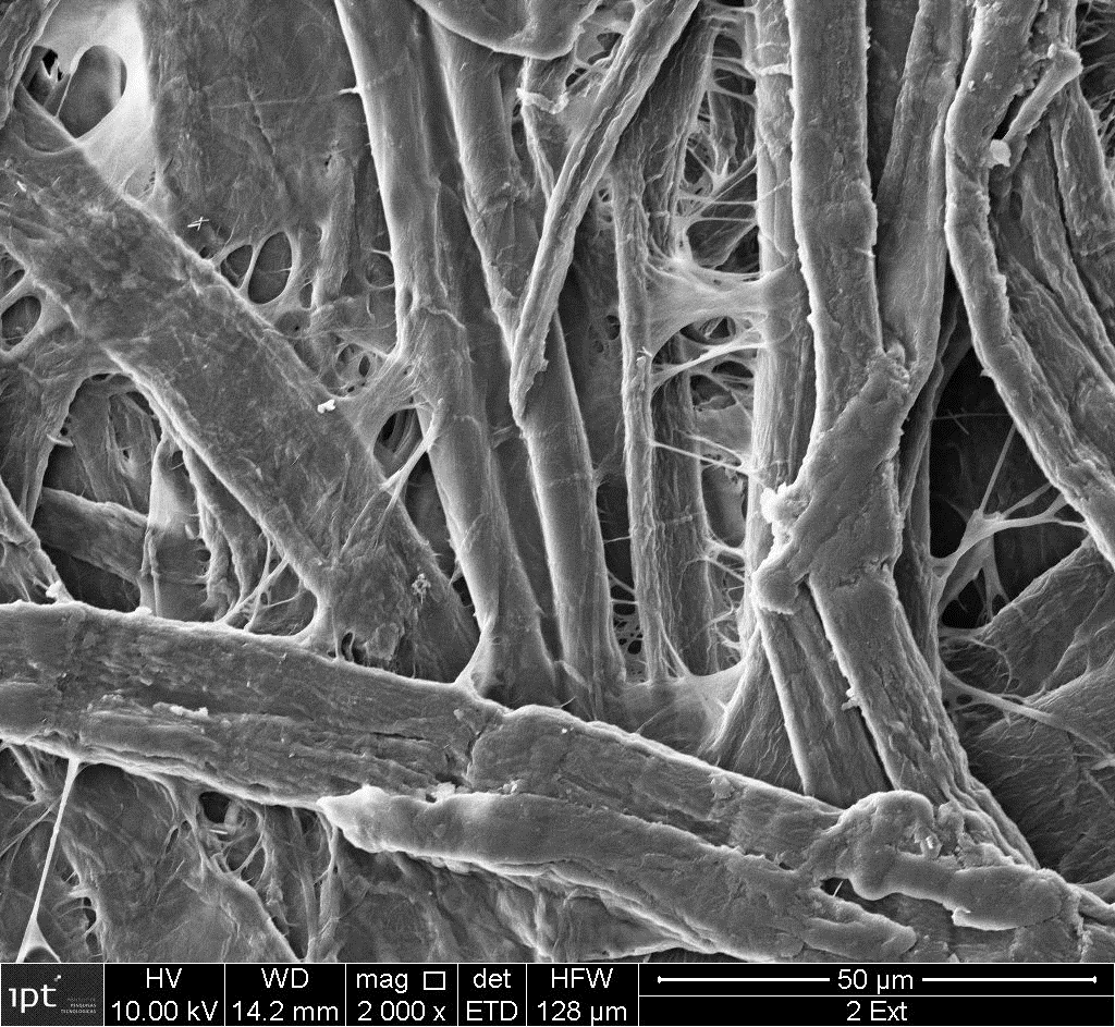 65 Para estudar a superfície dos papéis das amostras, foram realizadas as análises em microscópio eletrônico de varredura (MEV) e por espectroscopia por energia dispersiva (EDS).