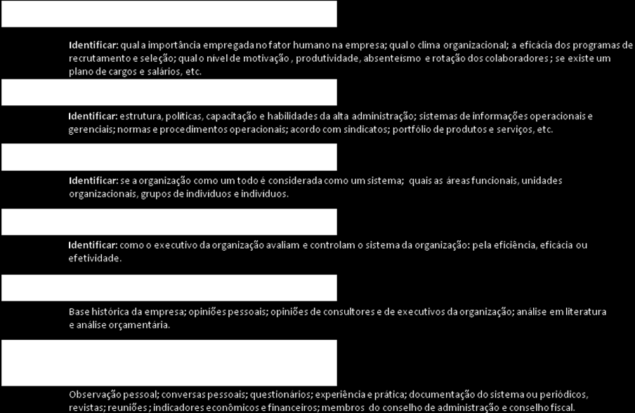 30 organizações: Não menos importantes, seguem outros pontos para análise interna nas Figura 8 Outros pontos para análise interna. Fonte: Adaptado de Rebouças de Oliveira (2004, p.111-113) d.