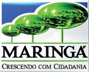 INVESTIMENTOS (2005-2010) Maringá + Investimentos diretos da União + Estado