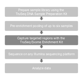 leitura da fita dupla de DNA por utilizar um reagente intercalante, oferecendo especificidade e sensibilidade. 27 3.