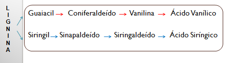 28 Figura 6 - Vias de formação de congêneres de envelhecimento a partir da lignina A madeira de carvalho é normalmente composta por uma grande quantidade de polímeros, celulose, hemicelulose e