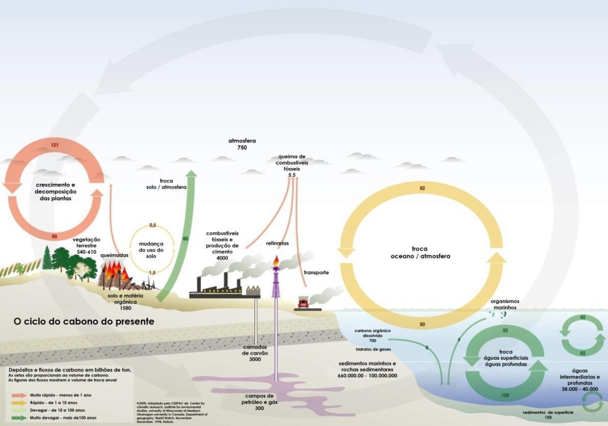 Ciclo do carbono CCS - Devolver o carbono ao