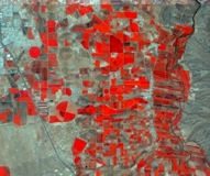 ArcGIS Imagem distribui A plataforma ArcGIS gere e imagem de satelite Novos Satelites SPOT 6 Landsat 8 Pleiades DMCii Chineses (3) Serviços Premium