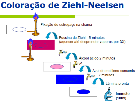 COLORAÇÃO: BAAR tem habilidade em reter corantes tratados pelos calor e em soluções ácidas. As colorações mais usadas são Ziehl-Neelsen; Ziehl-Gabbet-Kinyon (a frio) e Auramina- (fluorescência).