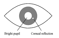 Como os movimentos oculares são específicos a cada pessoa, estes podem ser medidos e utilizados para activar a manipulação dos interfaces.