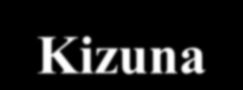 Exemplo: Kizuna