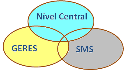 Pactuação da PAVS 2010-2011 em Pernambuco : Meta estadual proposta pelo Nível Central e pactuado em CIB Meta regional proposta pelo Nível Central e confrontada com propostas das GERES.