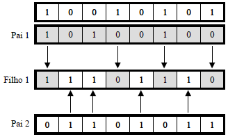 66 4.2.4.3 Cruzamento Uniforme O cruzamento uniforme consiste em gerar cada gene do descendente, copiando o correspondente gene de um dos pais, onde este gene é escolhido de acordo com uma mascara de