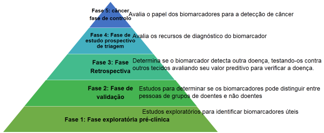 consideradas potenciais para tal uso, após ser avaliadas nas cinco fases, passam pela aprovação da FDA (Food and Drug Administration) 4,11.