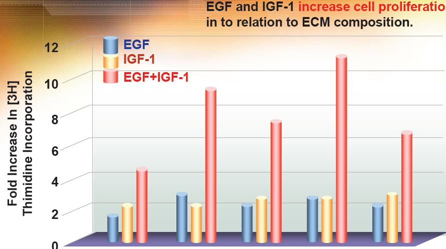 Efficacy