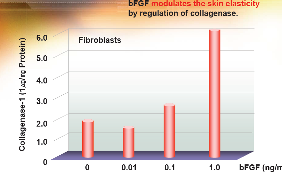 bfgf modulates theskin elasticity