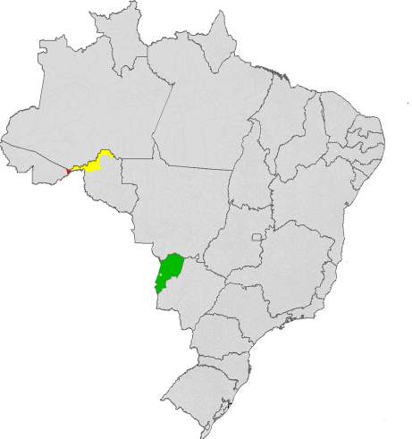 Controle de Raiva Animal Raiva canina, Fronteira Brasil/Bolívia, 2002 a 2013* PORTO VELHO/RO - 35 caninos(2002 e 2003) CORUMBÁ/MS -