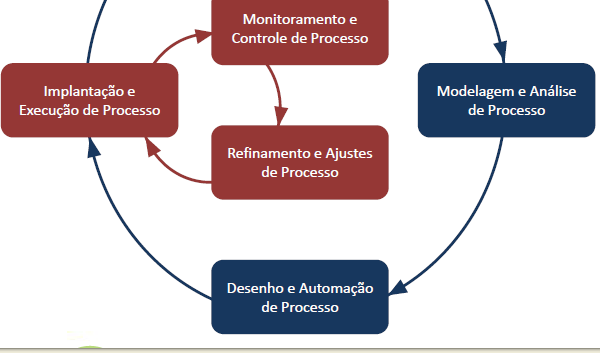 Ciclo de Vida