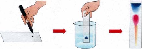 Separação de Misturas: Centrifugação Separação de Misturas: