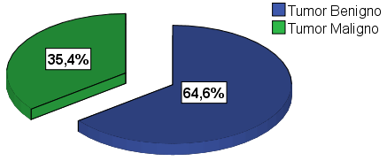 Gráfico 8 Distribuição das neoplasias da cavidade oral quanto à raça.