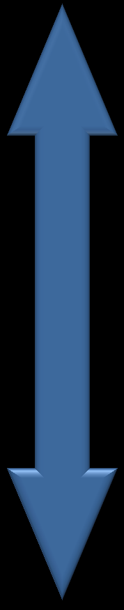 1º ciclo Med Point Med Point 2006-2012 Sistema de pontuação do desempenho da atividade médica, onde foram indicados pontos que serão adicionados ou retirados do profissional.