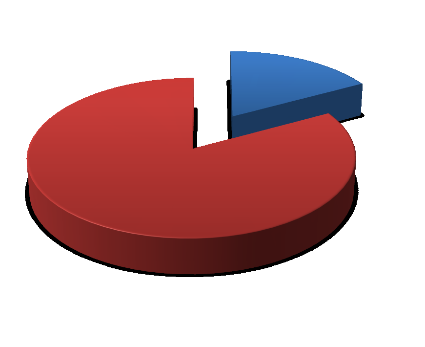 63; 17% CAPITAL ESTRANGEIRO 306; 83%