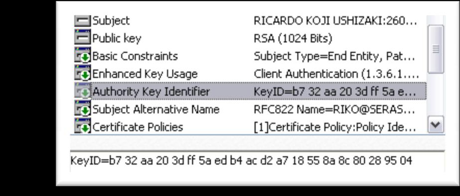 Autorização Certificado Digital do Cliente: