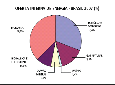 Com base nestes princípios e considerando a contribuição da sociedade civil, o Plano Nacional sobre Mudança do Clima fortalecerá as ações em curso ou previstas, conforme apresentado nos itens que