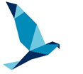 A imagem SATA BIA Blue Islands Azores O BIA, o símbolo que acompanha o logótipo da SATA, é um Açor reinventado, rectilíneo, inspirado no futurismo dos protótipos, construído a partir de nove pedaços