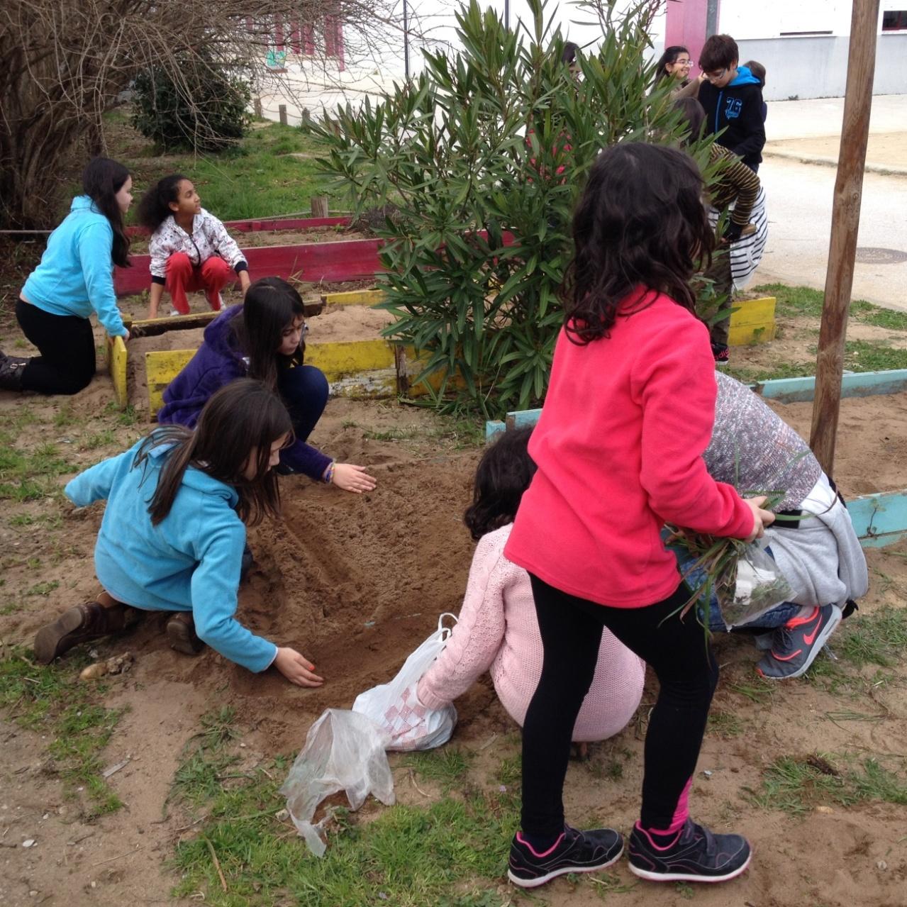 Agricultura Biológica (canteiros) (canteiros 2ºA, 3ºA, 4ºA,