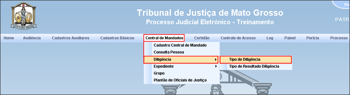 Para realizar uma pesquisa, preencha ou selecione um dos filtros solicitados e clique no botão.