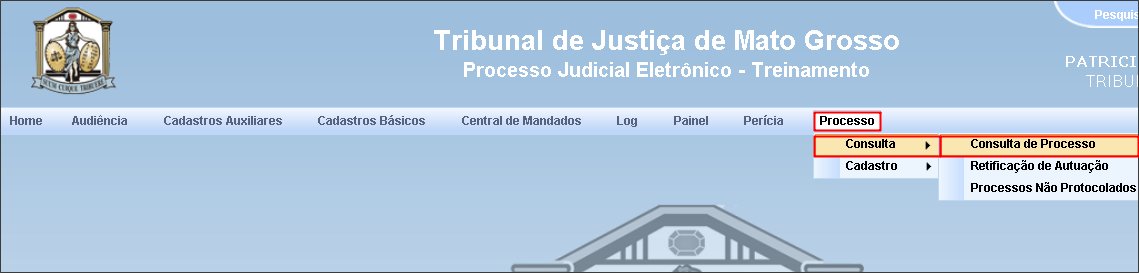 Ao selecionar uma requisição, a guia Formulário abrirá, elencando os dados da antecipação do