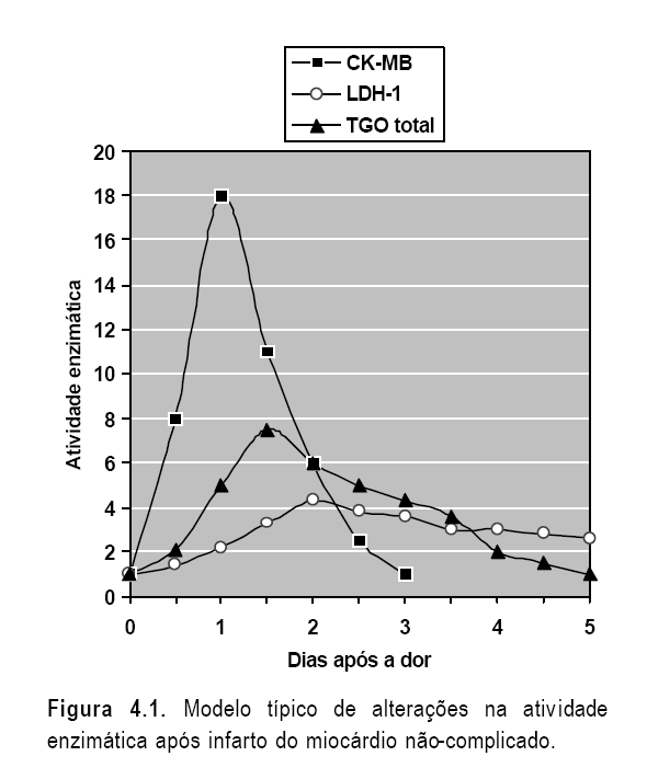 A CK aparece aumentada antes da AST, desaparecendo primeiro também.