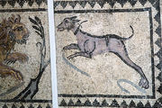 Dom esticação do Cão Dom esticação do Cão Na mitologia egípcia, os cães também eram mumificados para representação de Deuses.