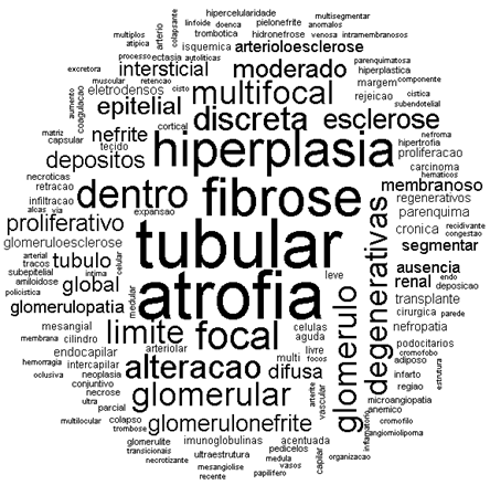 Figura 1 Árvore de palavras considerando as três primeiras palavras do campo diagnóstico. Cada palavra está acompanhada do número de ocorrências entre colchetes.