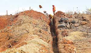 37 Figura 2 Mineradora em Quiterianópolis Fonte: FIEC - Federação das Indústrias do Estado do Ceará, (2013).