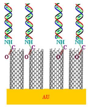 Sensores Biológicos Vacinas Nanotubos +