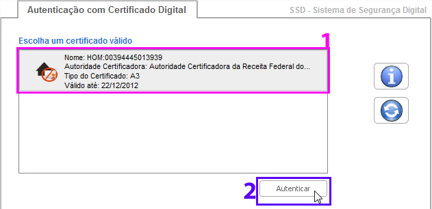 5. Autenticando no Sistema - Neste momento existem dois tipos de situação, sendo: a) Não lista certificado. 1. Observe que não foi listado nenhum certificado.