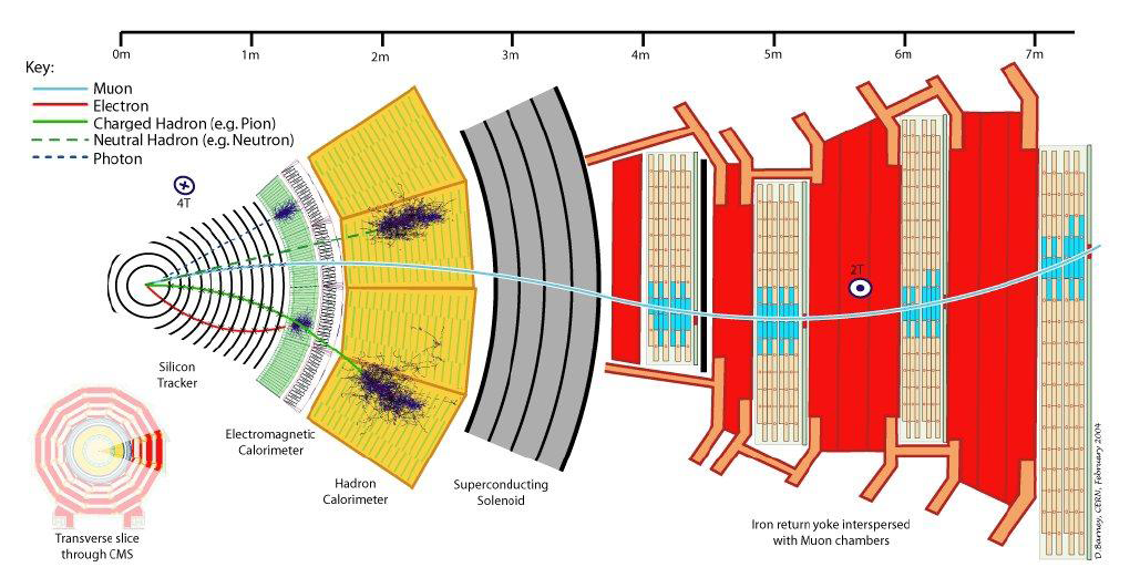 Figura 4.9: Subdetectores do CMS: Sistema de Traços, ECAL, HCAL, Sistema de Múons. ( Figura extraída de [91]) pressionando-se a tecla F1.