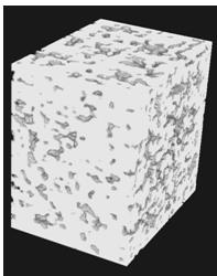 Figura 15: Vista 3D de uma das amostras de crânio sintéticas. 2.