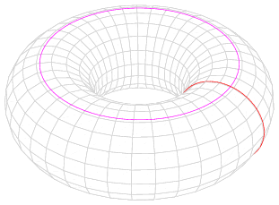 No caso do autômato bidimensional, uma grade finita é equivalente a um espaço retangular de células, ao invés de um plano infinito. Neste caso, a solução seria uma toróide.