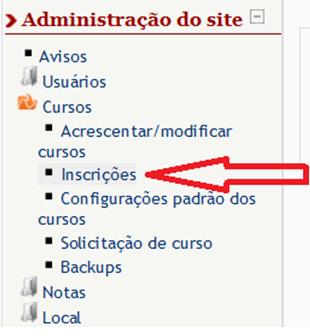 No gerenciador de plugin, localize o módulo Sistema de Matrícula UNA-SUS, marque-o como ativo e depois clique no botão Salvar mudanças.