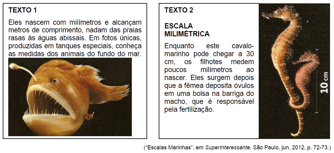 Questão 06 Os textos abaixo integram uma matéria de divulgação científica sobre o tamanho de criaturas marinhas, ilustrada com fotos dos animais mencionados.