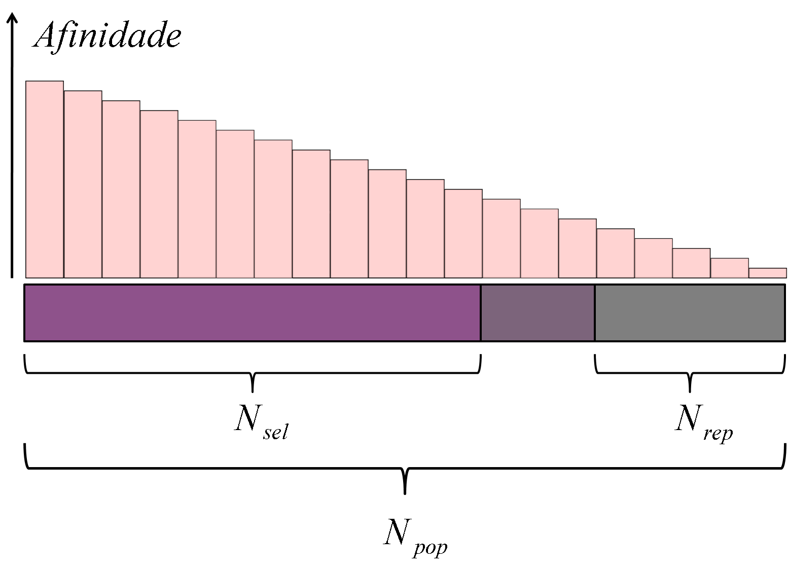 Otimização Evolucionária Mono-Objetivo 3 Figura 3.3: Distribuição da população no CLONALG. O Alg. 3.2 mostra o ciclo de funcionamento do CLONALG implementado nesse trabalho. Algoritmo 3.