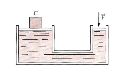18. (UFSE-SE) Na figura está representado um recipiente rígido, cheio de água, e conectao a uma seringa S. X, Y e Z são pontos no interior do recipiente.