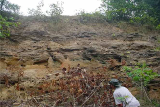 Figura 5 (esquerda) camada de areia estratificada e ferruginizada em barranco do Rio Jaciparaná. (Direita) Perfil esquemático da Formação Jaciparaná. 2.1.