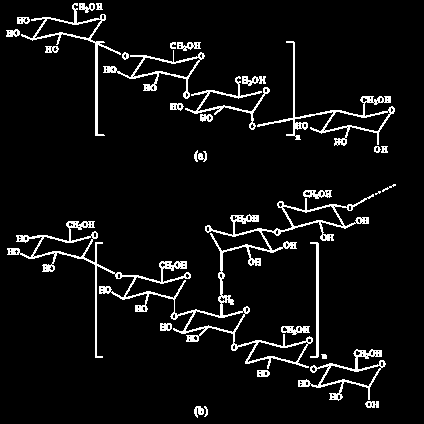 A estrutura química da amilose e da amilopectina pode ser observada na Figura 2. Figura 2. Estrutura química da amilose (a) e da amilopectina (b).