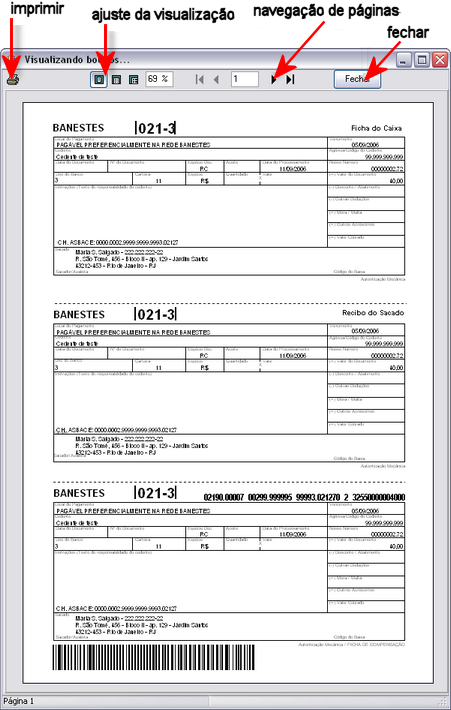 Informações de Referência 84 normal) dentro da janela. Caso você tenha selecionado mais de um boleto, utilize os botões de navegação de páginas para visualizar os demais boletos. 5.1.2.