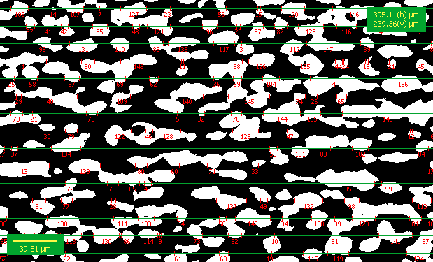 Resultado e Discussão 142 Figura 4.27 Identificação dos interceptos lineares que incidem na fase de austenita. O Goitacá identificou 148 interceptos lineares que incidiram na fase de austenita.