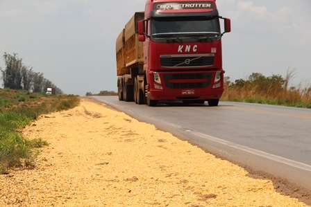 Soybean Logistics Main Export Modals