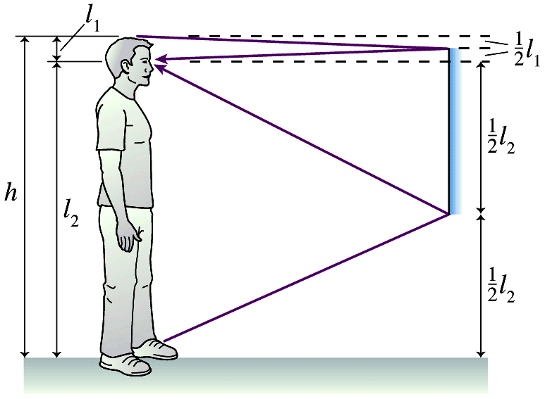 22.1 Espelhos planos Se a altura de uma pessoa altura for h, qual é a altura mínima h m do espelho para se conseguir uma imagem completa da pessoa?